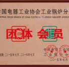 中国电器工业协会工业锅炉分会团体会员